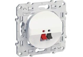 S520487 Odace speaker output