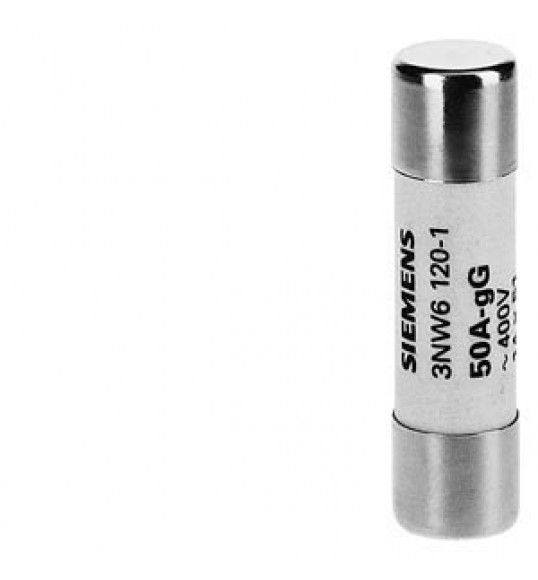 3NW6103-1 Fuse