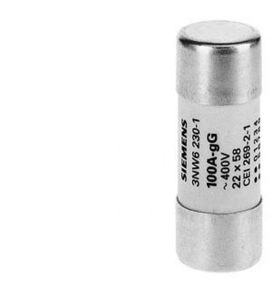 3NW6212-1 Fuse