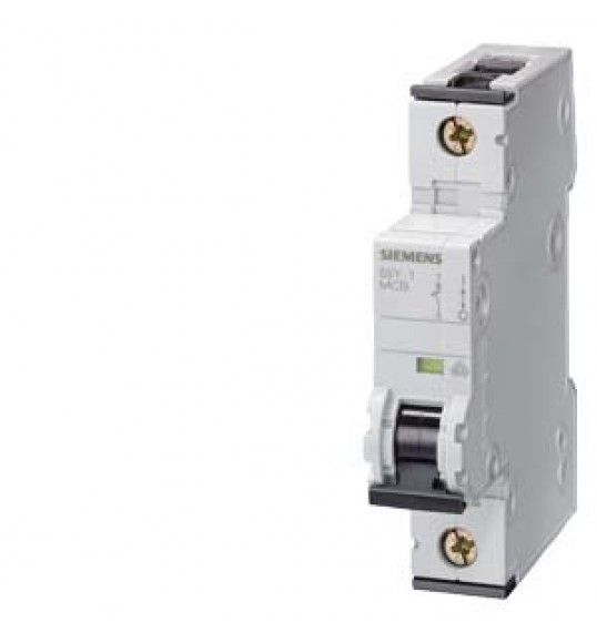 5SY4102-7 Circuit breaker