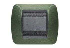 L4802VT living int - placca 2 posti 