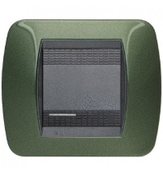 L4802VT living int - placca 2 posti 