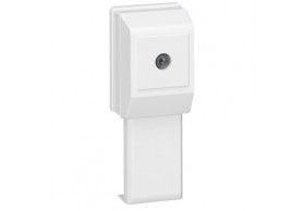 030379  Quadro