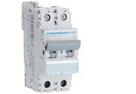 NEN206 Circuit breaker 2P 6A B 6/10KA