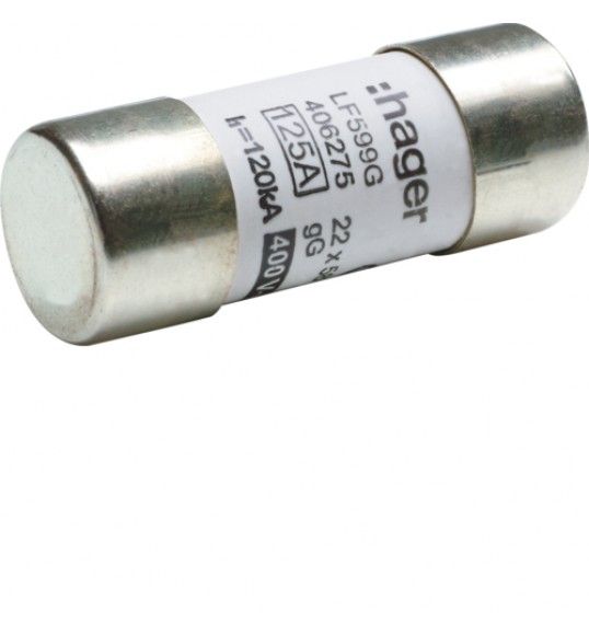 LF599G FUSIVEL 22x58 gG 125A 400V