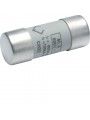 LF540G Industrial fuse-links 22x58 gG 40A