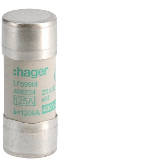 LF599M Fus�vel 22x58 aM 125A 400V