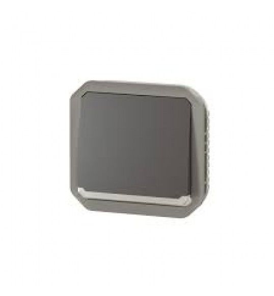 069816L POUSSOIR INV LUM ANTH COMPO