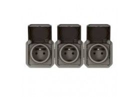 069844L 3X2P+T F/B HOR ANTH COMPO