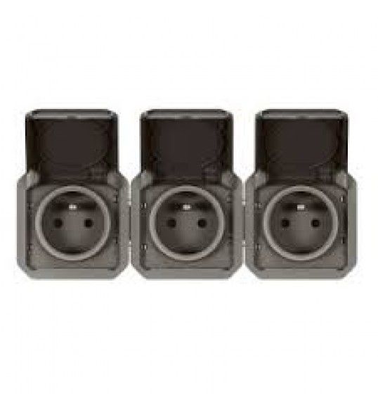 069844L 3X2P+T F/B HOR ANTH COMPO