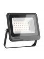 GL24100555555 OSRAM LUXPOINT Floodlight LED Black 30W 6500K