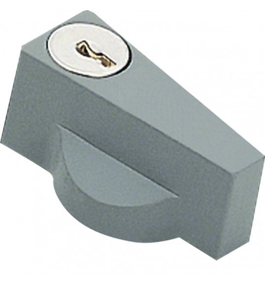 FL96Z Hager Poigne avec cl N427
