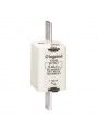 017865 FUSIVEL GL 2 250A