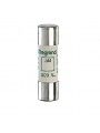 014010 FUSIBILI CILIND.-aM ACR 14x51-10A s/perc.