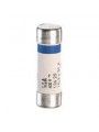 012616 FUSIVEL GF 10X31 16A