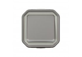 069712L VV 10AX TEMOIN GRIS SAILLIE