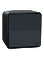 MUR35021 Mureva Styl - two-way switch - surface mounting - g