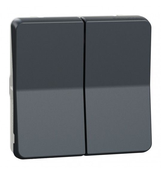 MUR35019 Schneider Mureva Styl Double va et vient composable IP55IK08-connexion auto gris