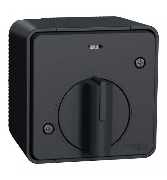 MUR35067 Schneider Mureva Styl Interrupteur temporis LED saillie IP55 IK08 gris