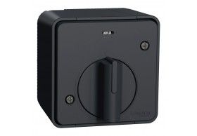 MUR35067 Schneider Mureva Styl Interrupteur temporis LED saillie IP55 IK08 gris