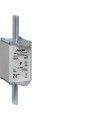 LNH2100M Hager Fusible  NH2C gG 500V 100A K-Indicateur