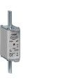 LNH1100M Fusvel de facas NH1C gG 100A 500V