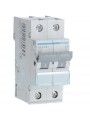 MWN250 Hager Leitungsschutzschalter 2P 50A C 3kA 2M MWN250 Hager Leitungsschutzschalter 2P 50A C 3kA 2M
