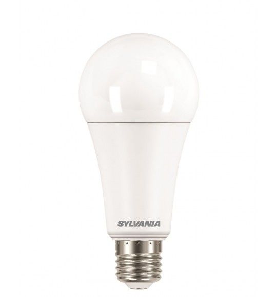 0030026 Lampada GLS 19W 2450LM 865 E27