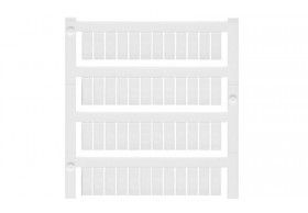 1609860000 WS 12/5 MC NE WS