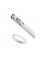 0000098 BL368 lamp F30W T8
