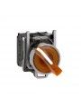 XB4BK125M5    BOT ROT LUM 2P AMAR NA+NF 230-240V