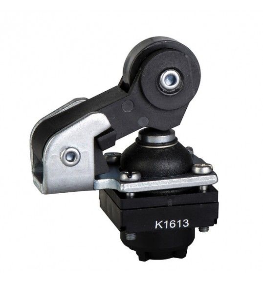 ZCKD219 LIMIT SWITCH HEAD