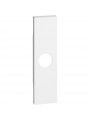 KW08 Bticino LivingNow 1-modulige Abdeckung für TV-Dose in der Farbausführung White KW08 Bticino LivingNow 1-modulige Abdeckung für TV-Dose in der Farbausführung White