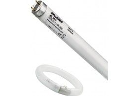 000082 F15W/T8/BL368